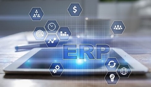 erp consulting