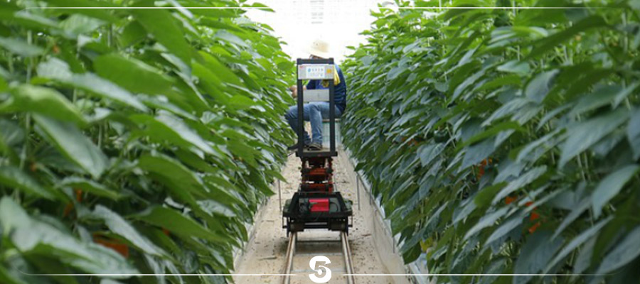Smart Farming Technologies
